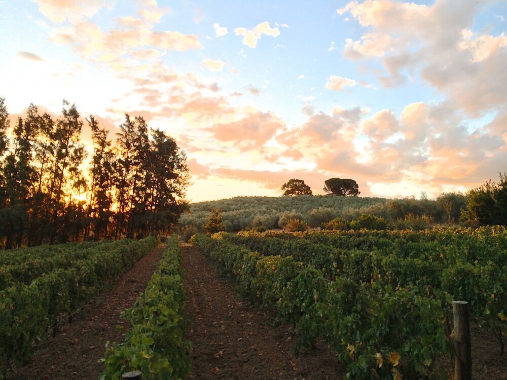 Calais Wine Estate