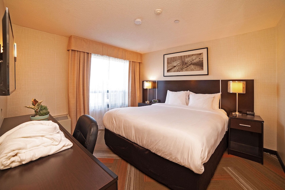 Quality Hotel - Property Image 4