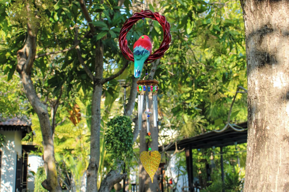 Banana Resort le Petit nid de Caro