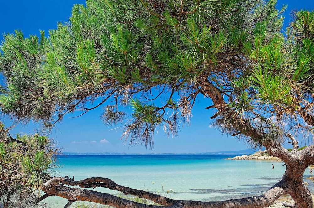 Ikos Olivia - All Inclusive