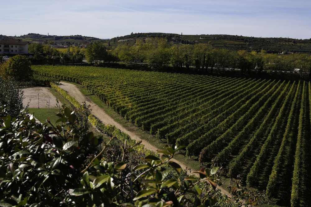 La Fonte degli Dei Wine Relais Adults Only