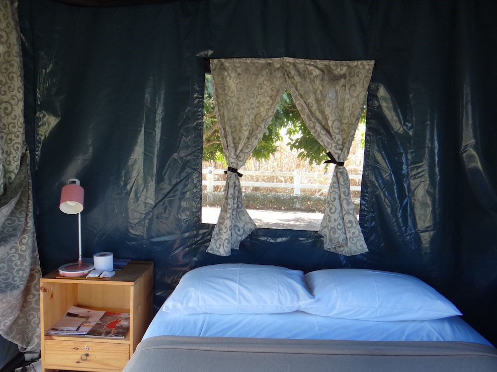 The Camping Field