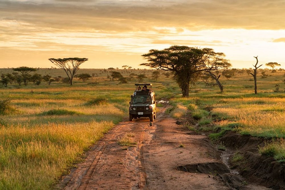Pumzika Luxury Safari Camp - East Africa Camps