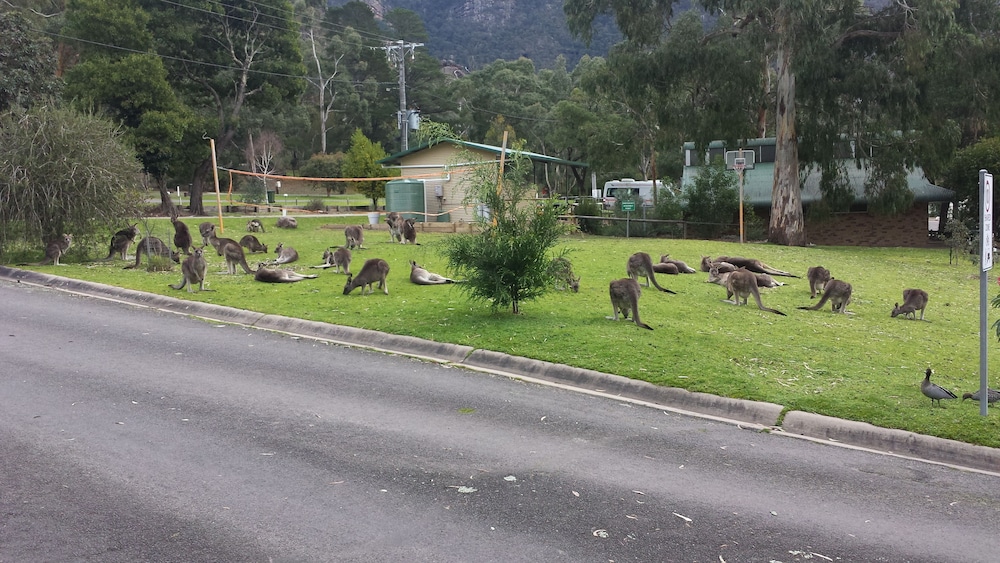 Breeze Holiday Parks - Halls Gap