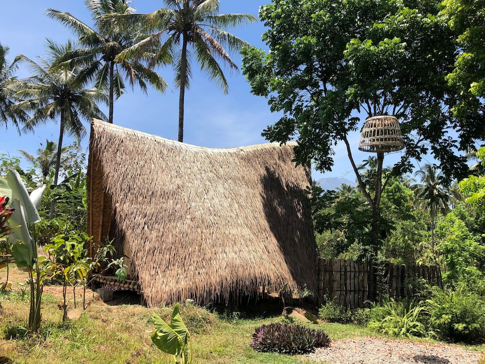 Bamboo & B - Hostel