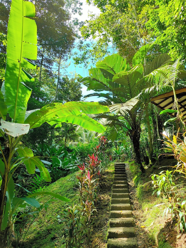 FINCA ARDILLA