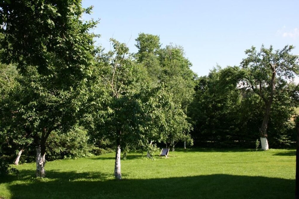 Photo 50