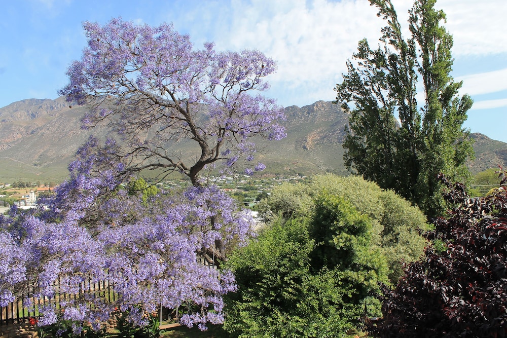 Mountain View Lodge Montagu