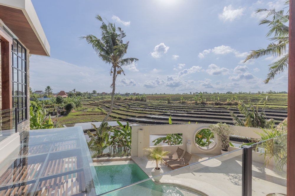 Rumah Simba - Image 4