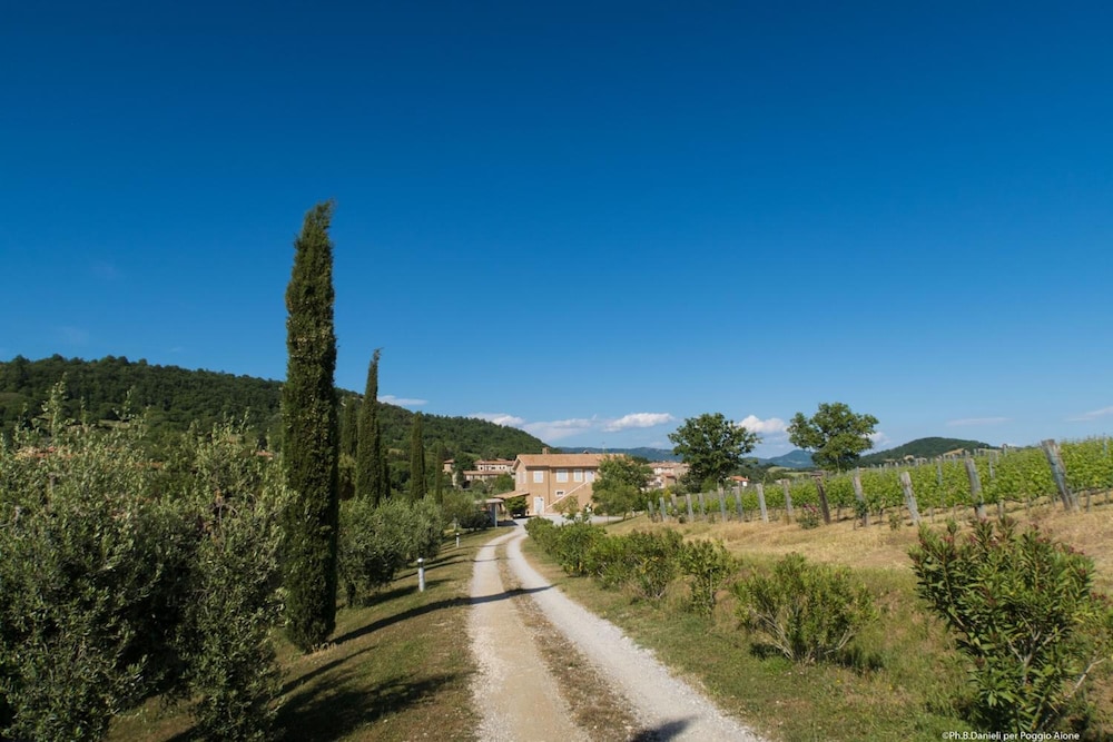 Bio Agriturismo Poggio Aione