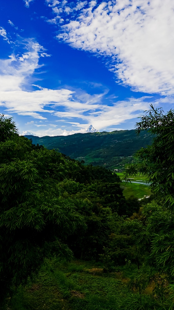 The Hidden Camp view 5