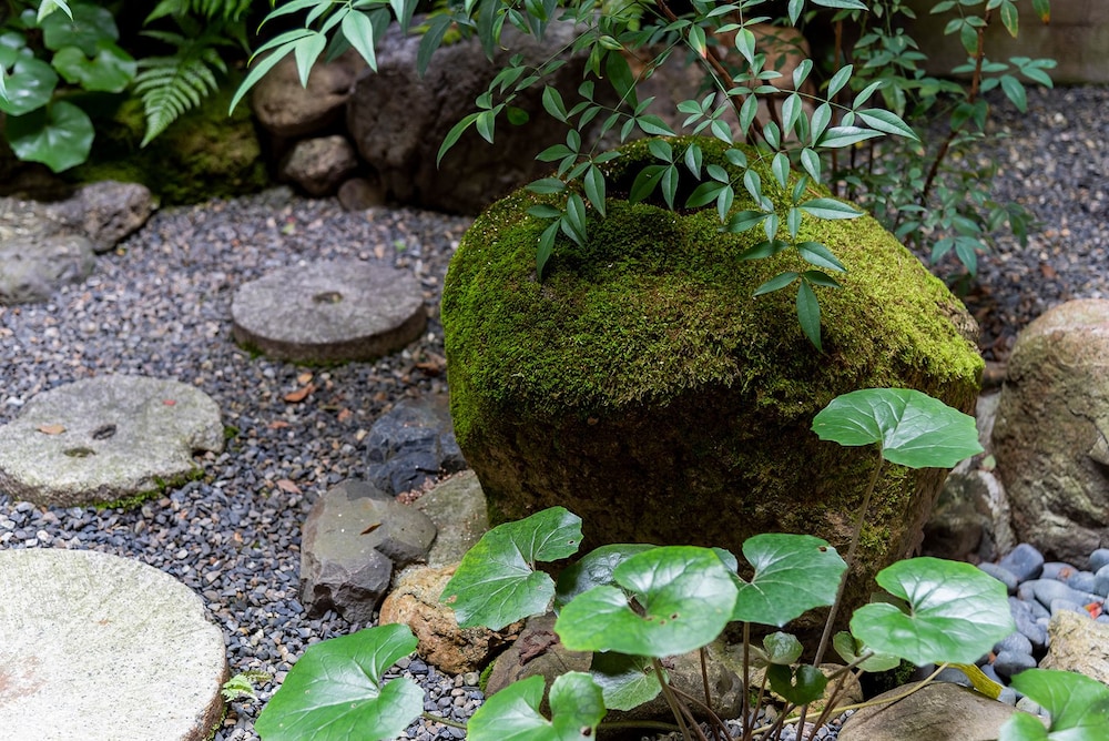 Mibu-momiji