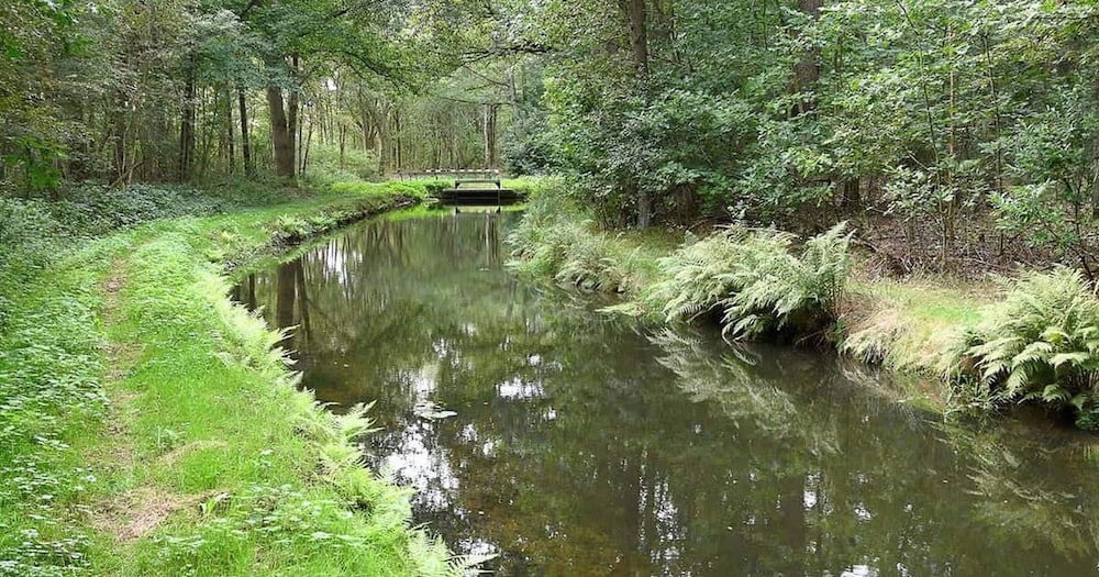 Chalet in Stegeren Near Hiking Trails