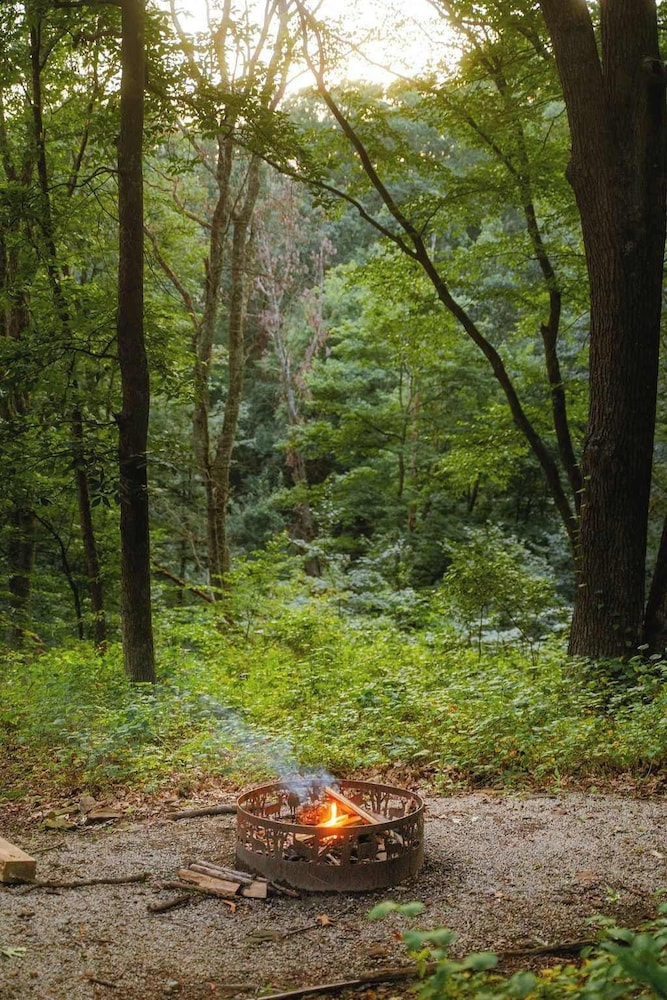 Cheerful Two Bdrm Cabin With Hot Tub & Pet Friendly