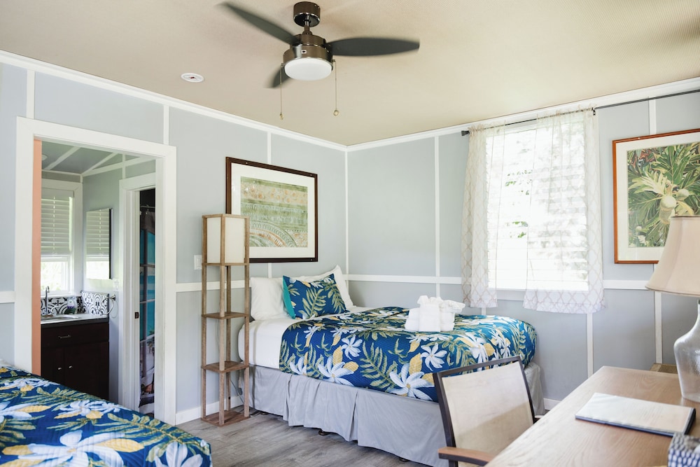 Hawaiian Sanctuary