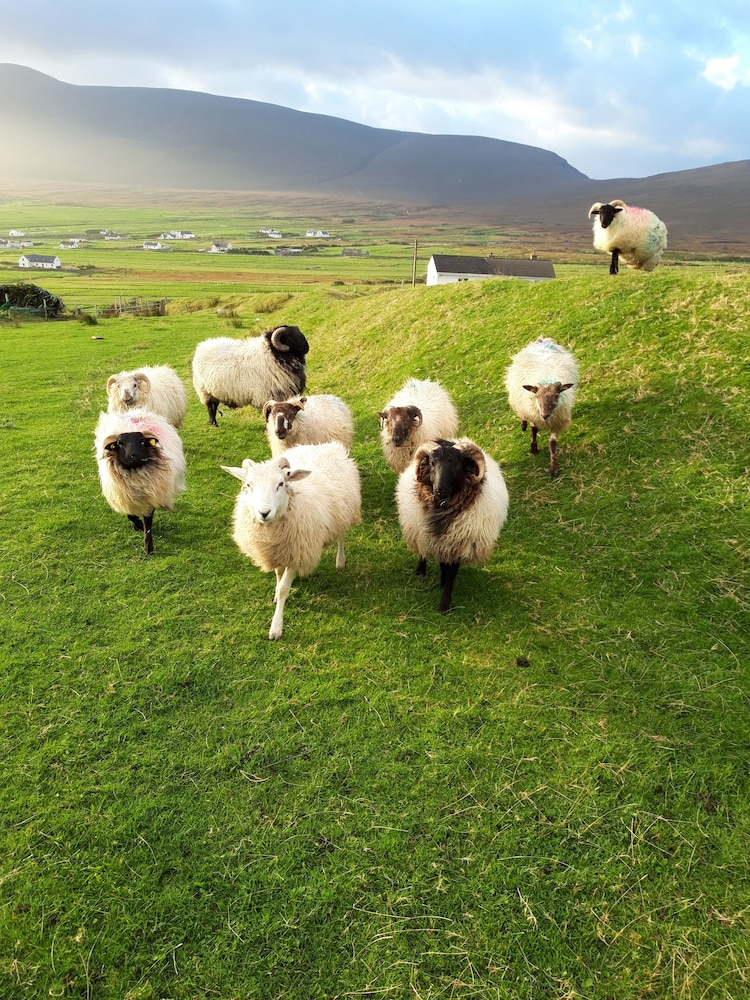 West Coast House BB - Property Image 15