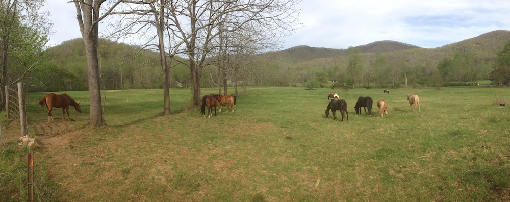 Pisgah View Ranch