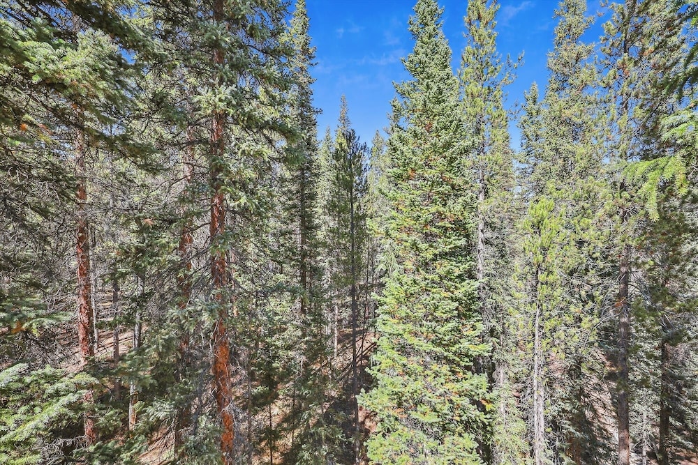 Summit Solitude Estate 3 Bedroom Home