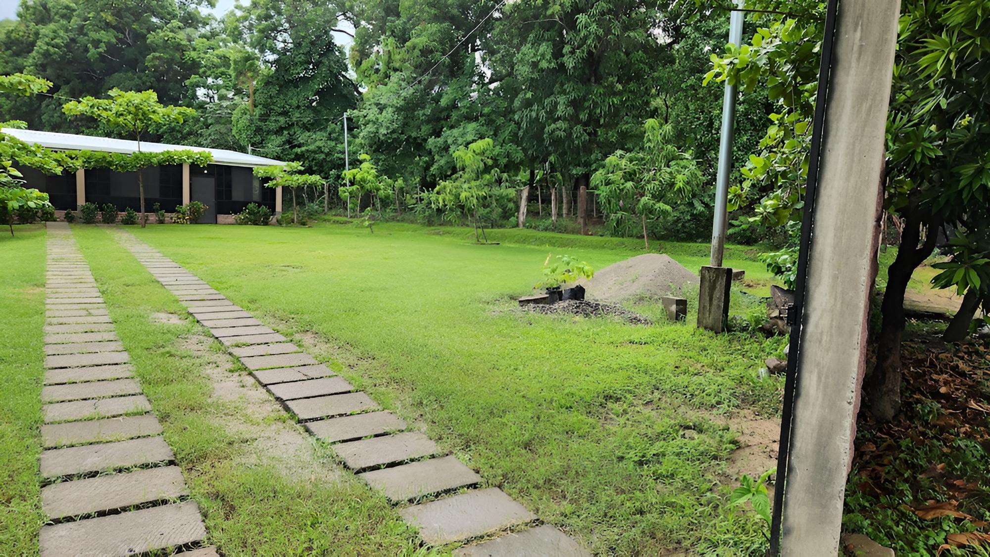 Photo 25