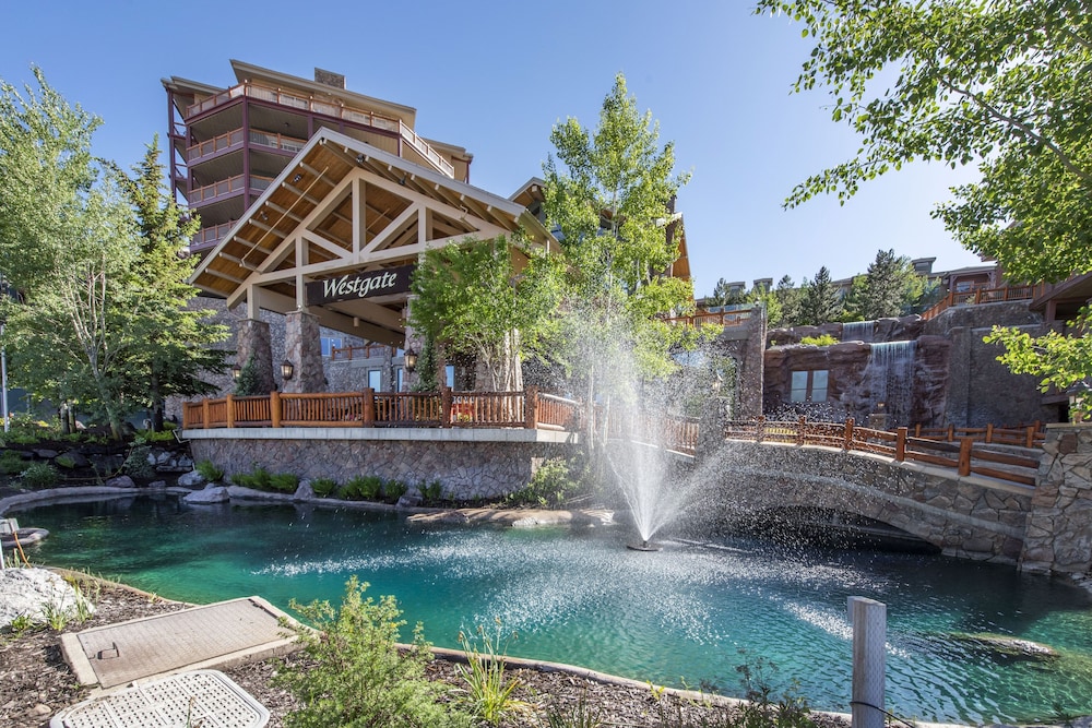 White Pines 1BD at Westgate