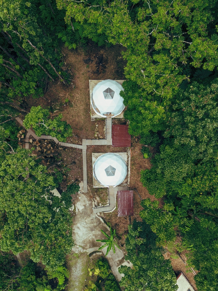 Matahom Forest Glamping Tent 1