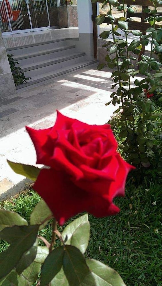 Photo 26