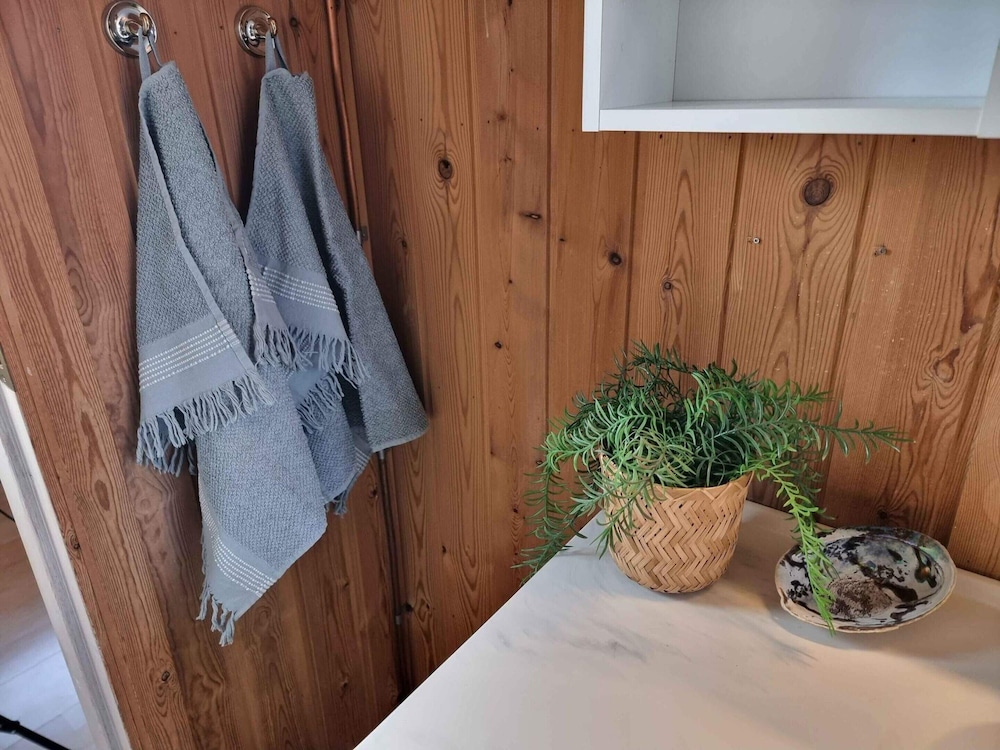 5 Star Holiday Home in Hjorring