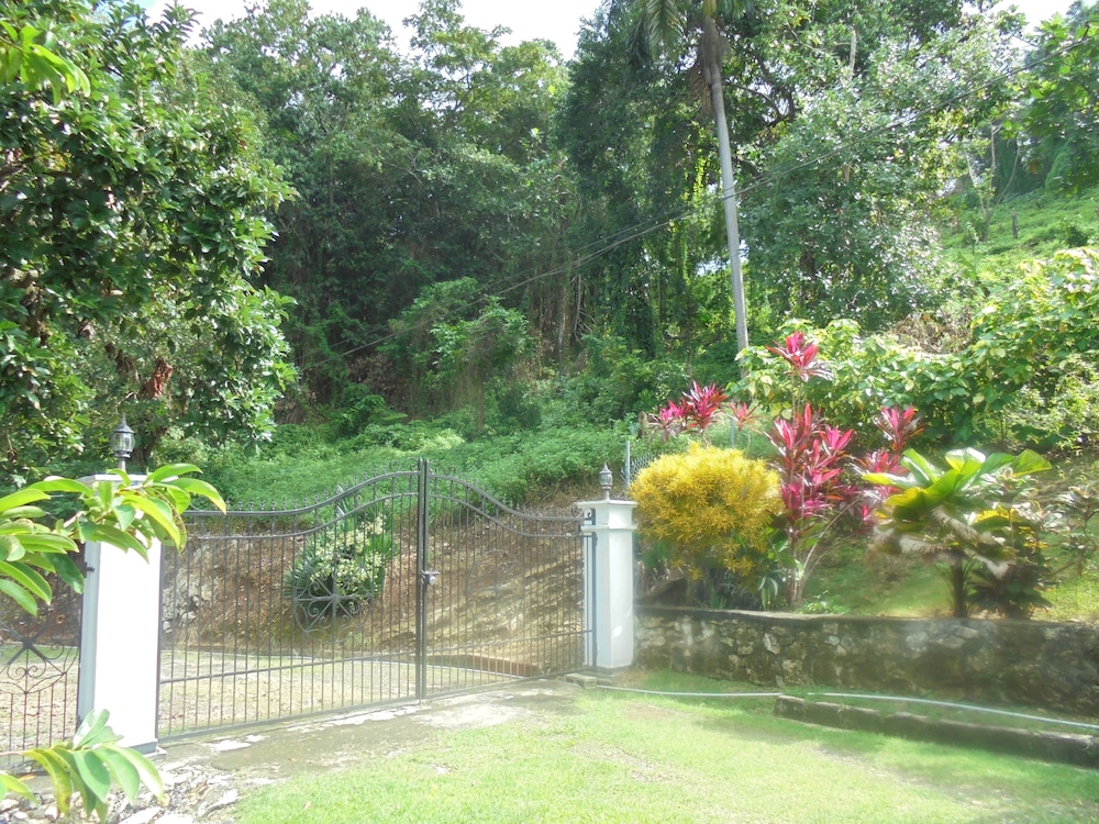 Photo 18