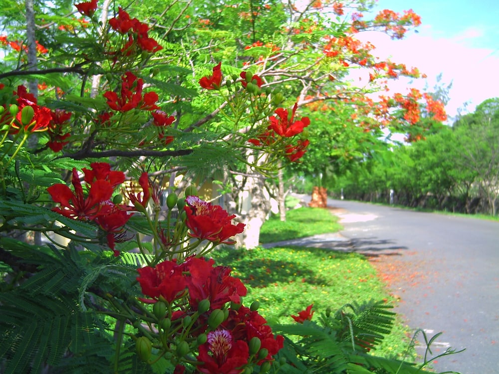 River Ray Estates
