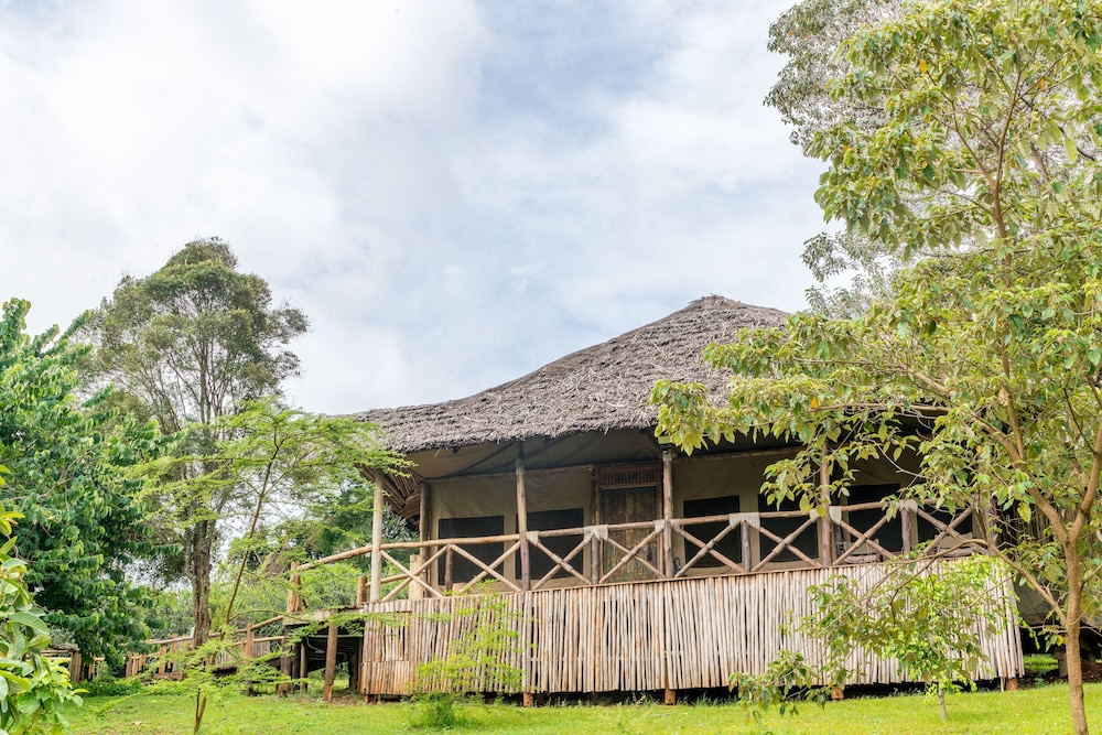Ngorongoro Forest Tented Lodge