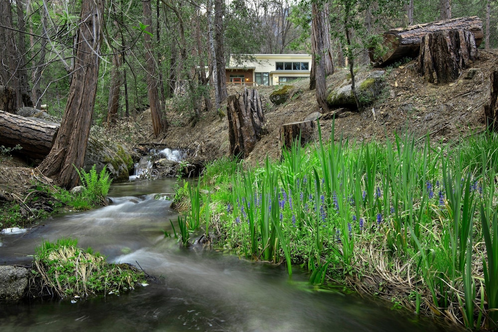 Spring Meadow Retreat