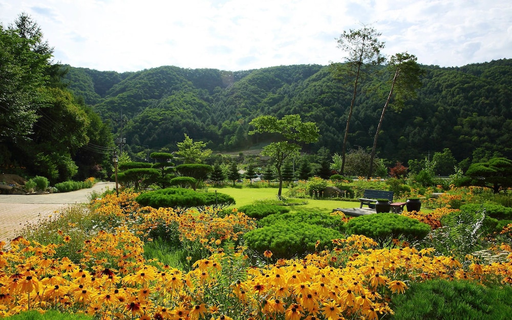 Byeolmuri Pension
