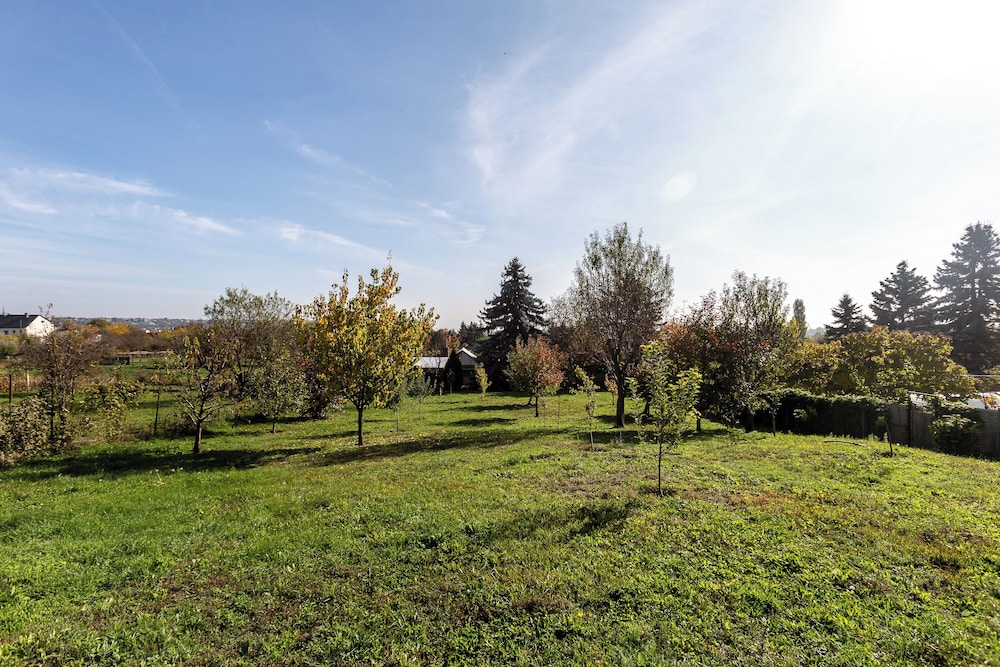 Balaton View From Almadi