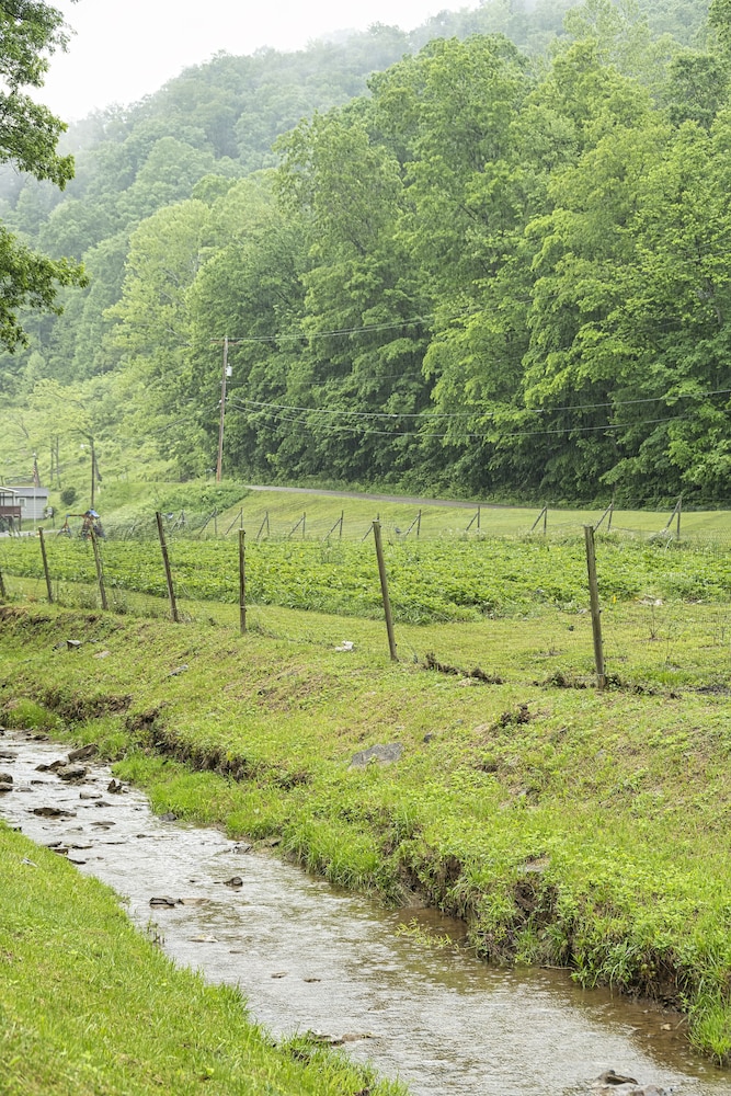 Country Road House and Berries Bed & Breakfast - Farm Stay