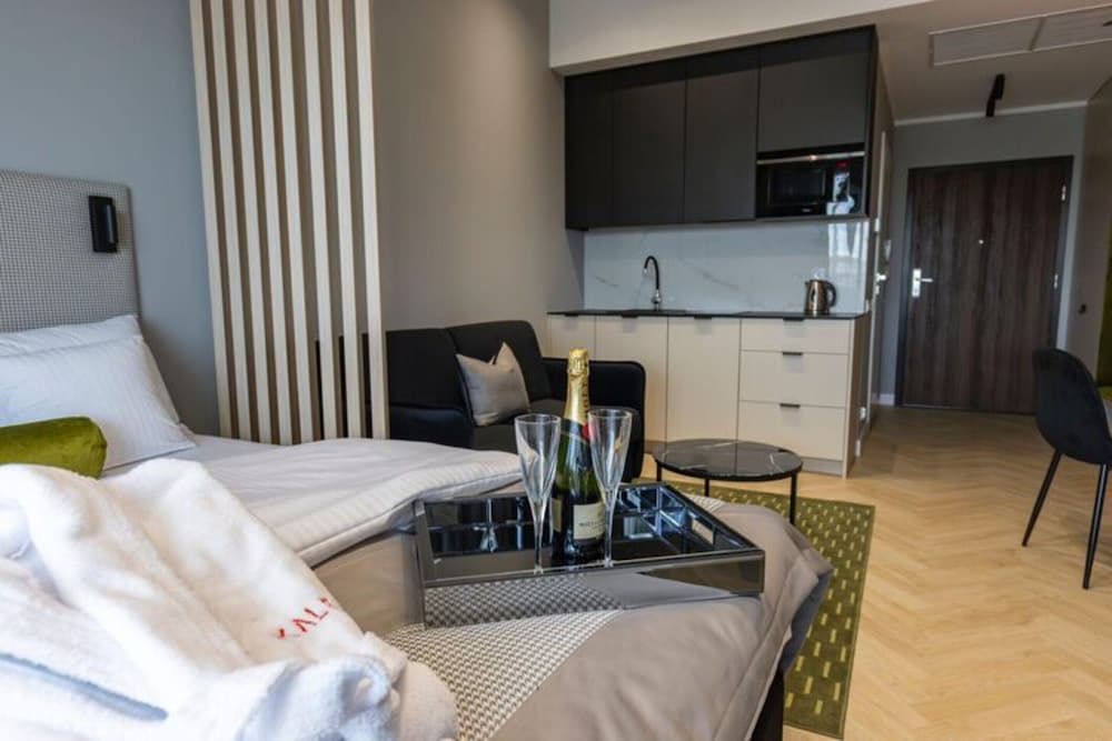 Apartment, Spa Zone, Szczecin City Center
