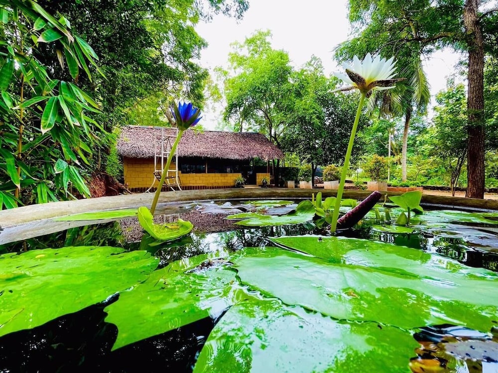 Harambathenna Resort Anuradhapura