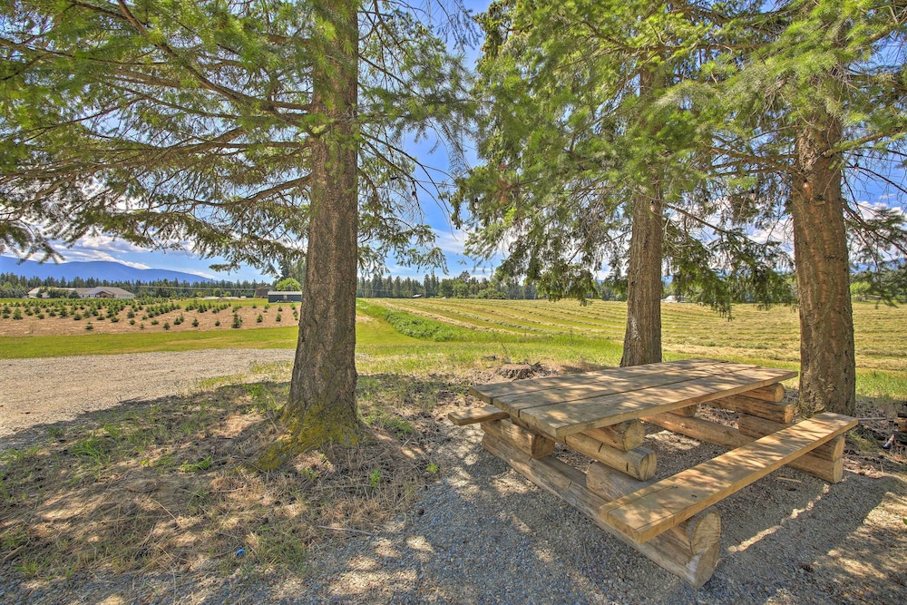 Serene Kootenai Cabin - 3 Mi to Dtwn & River! view 4
