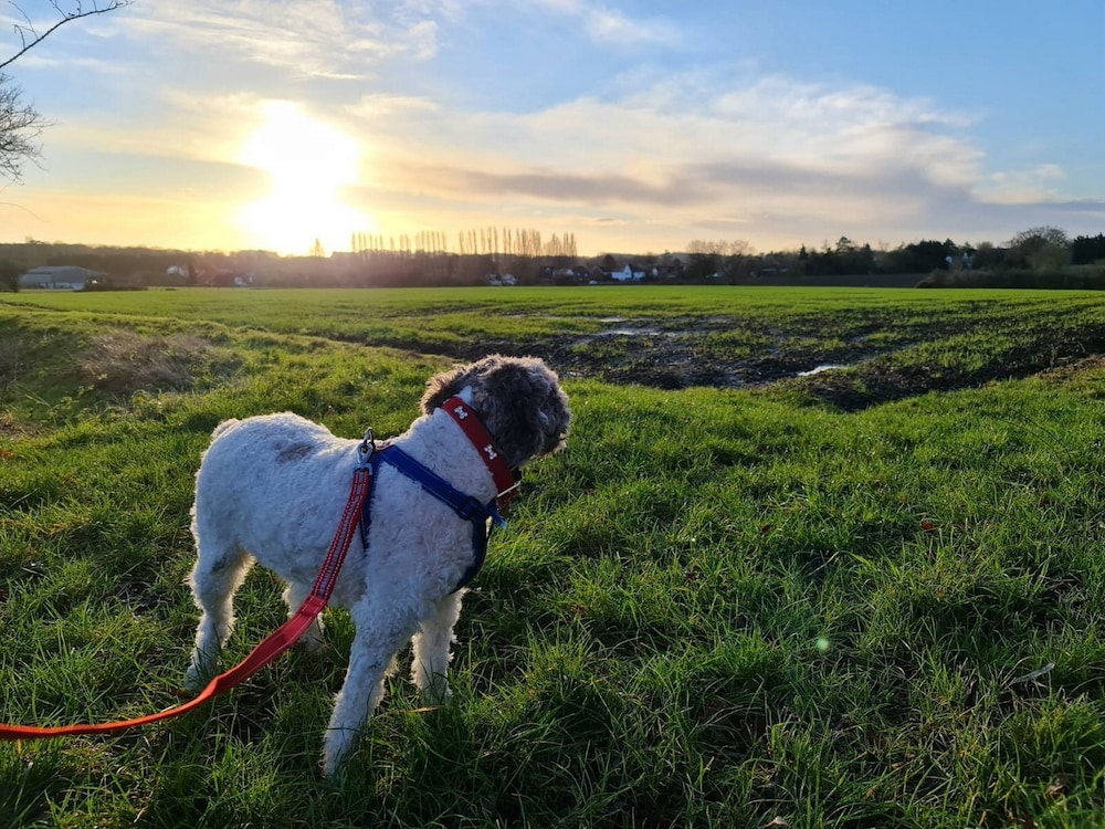 Picturesque Family Hideaway Chipping Ongar Essex