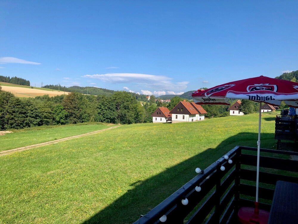Mansion in Starkov Near Acitvities