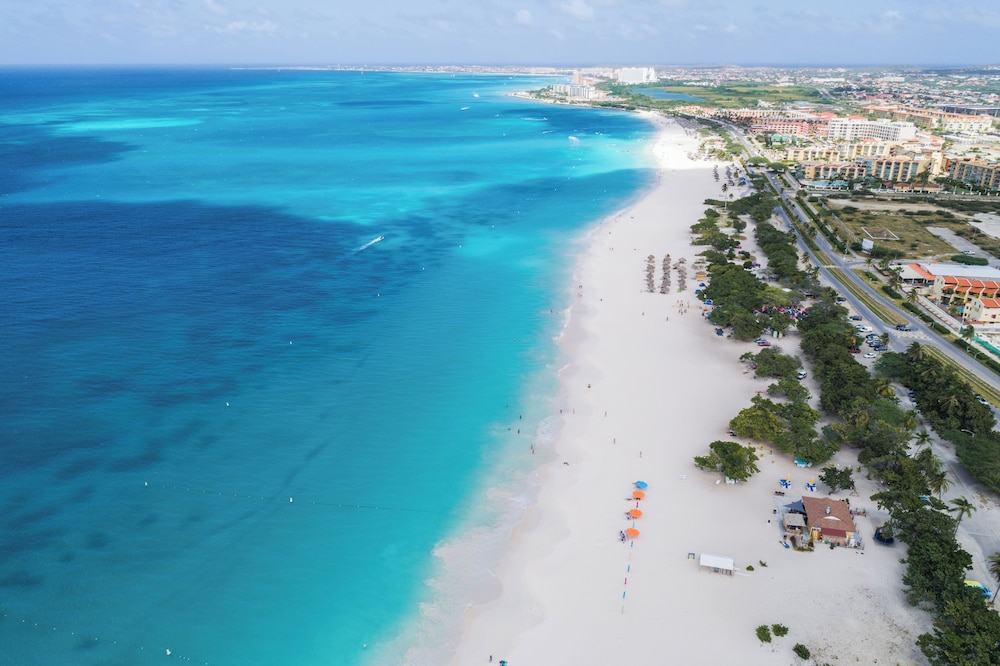 Aruba's Life 305