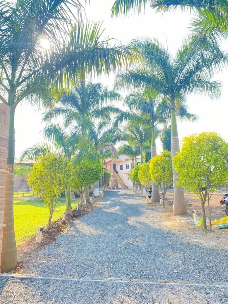 Photo 19