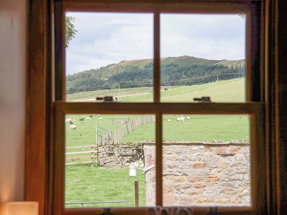 Bay Horse Farm
