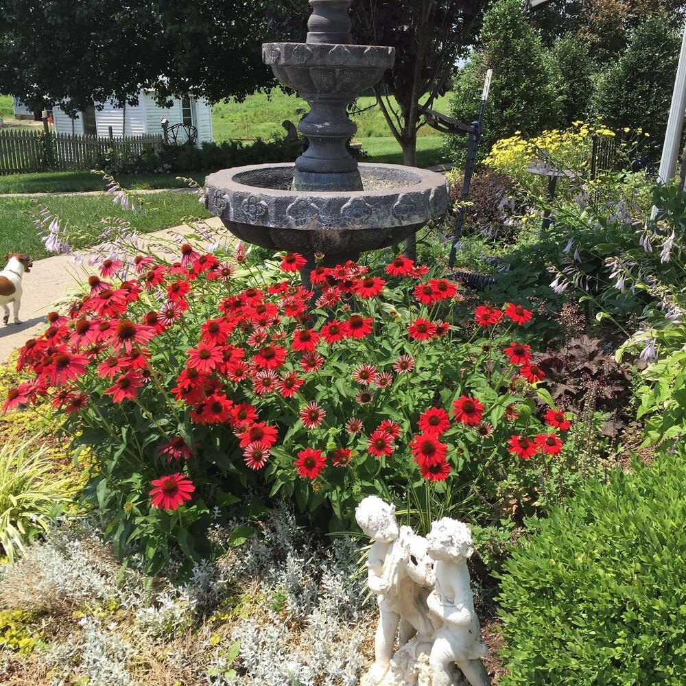 The Destination B&B