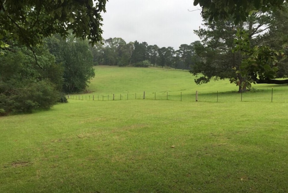 Photo 25
