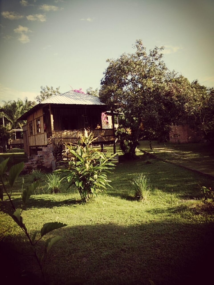 The Roots Eco Resort