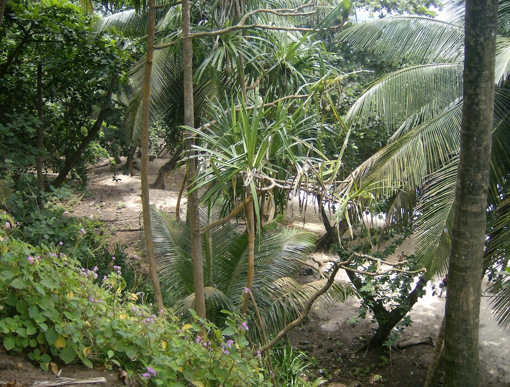 Photo 30