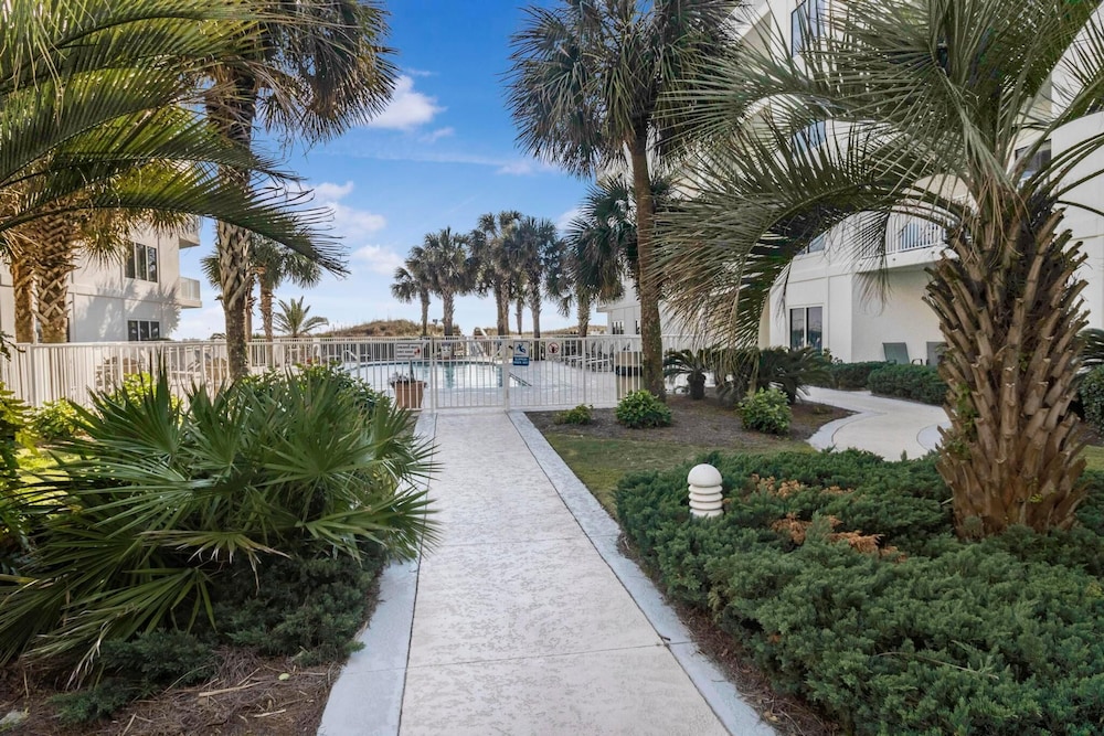 Palm Beach C21