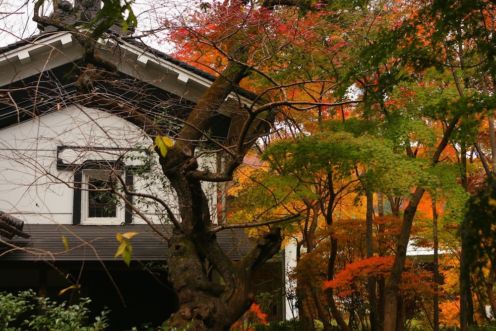 1000 Years of Tradition - Akiu Onsen Sakan