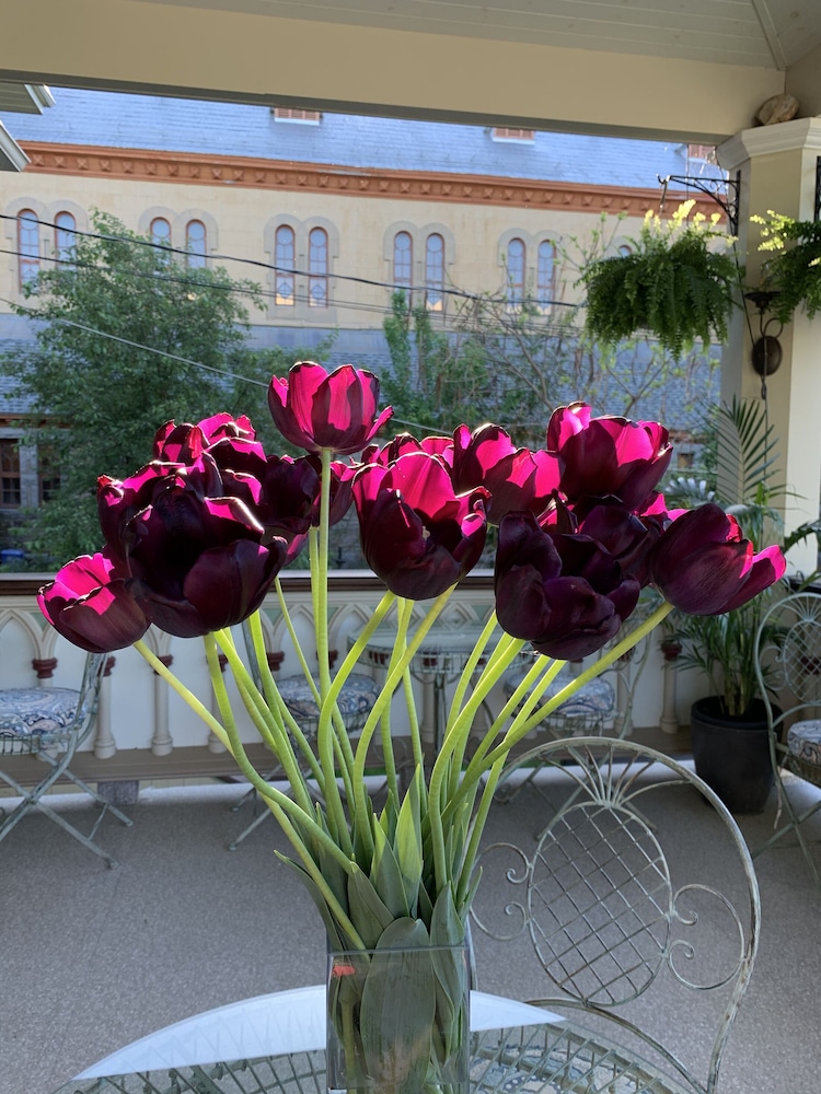 Photo 28