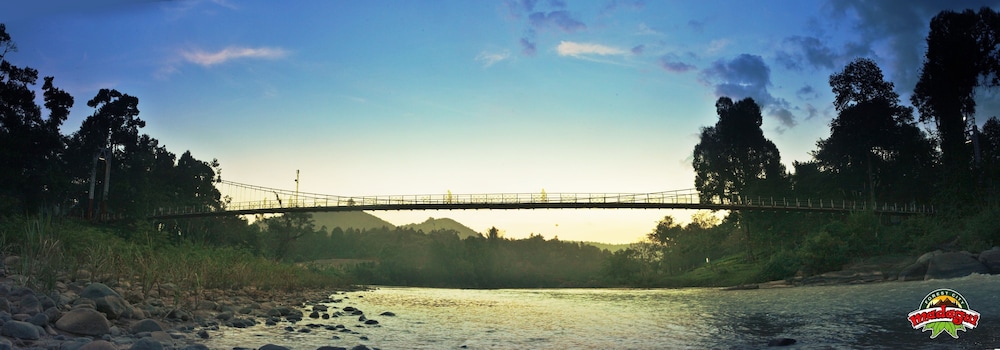Madagui Forest City